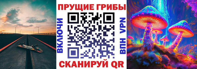 omg tor Печора Галлюциногенные грибы ЛСД